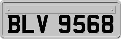 BLV9568