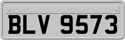 BLV9573