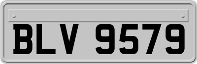 BLV9579