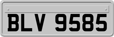 BLV9585