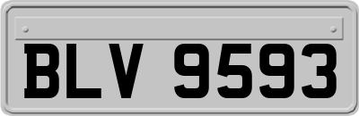 BLV9593