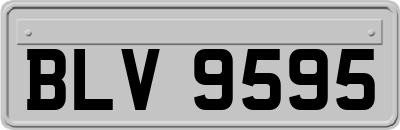 BLV9595
