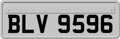 BLV9596