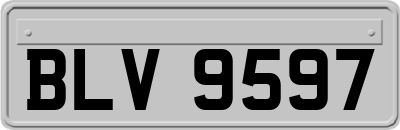 BLV9597
