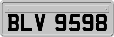 BLV9598