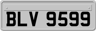 BLV9599