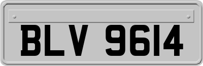 BLV9614