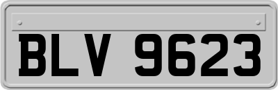 BLV9623