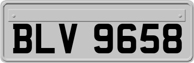 BLV9658