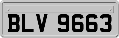 BLV9663