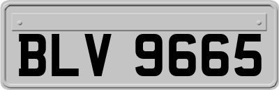 BLV9665