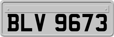 BLV9673