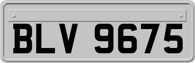 BLV9675