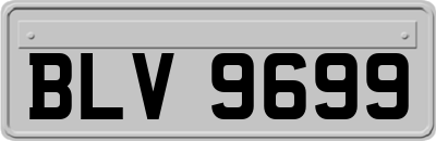 BLV9699