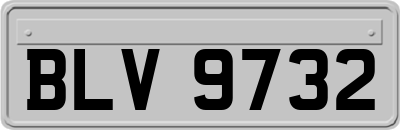 BLV9732