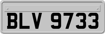BLV9733