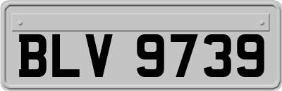 BLV9739