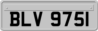 BLV9751