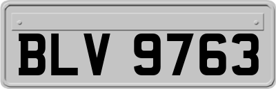 BLV9763
