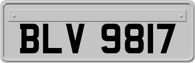 BLV9817