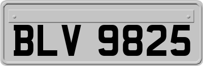 BLV9825