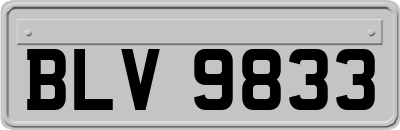 BLV9833