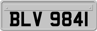 BLV9841
