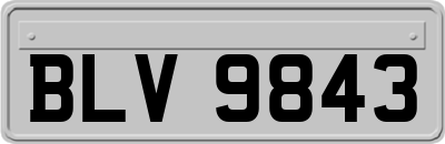 BLV9843