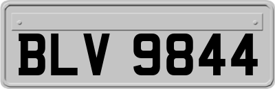 BLV9844
