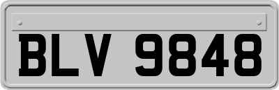 BLV9848