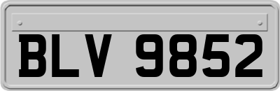 BLV9852
