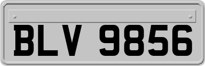 BLV9856