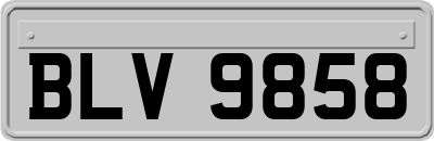 BLV9858