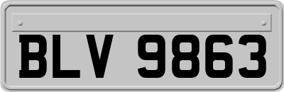 BLV9863