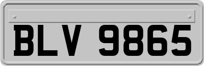 BLV9865