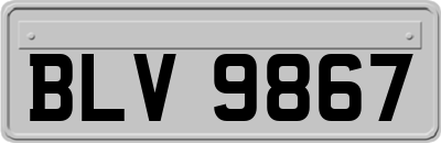 BLV9867