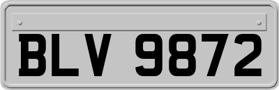 BLV9872