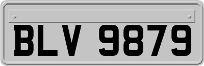 BLV9879