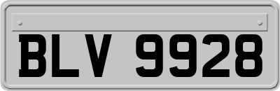 BLV9928