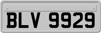 BLV9929