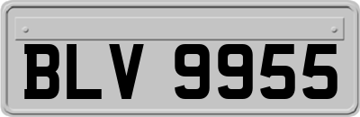 BLV9955