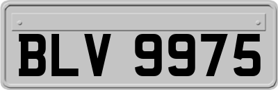 BLV9975
