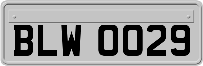 BLW0029