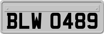 BLW0489