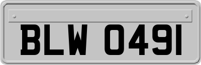 BLW0491