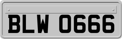 BLW0666