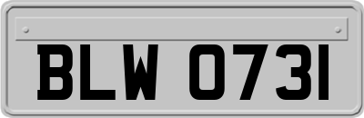 BLW0731