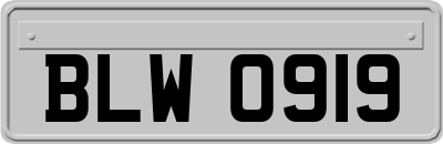 BLW0919