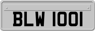 BLW1001