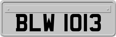 BLW1013